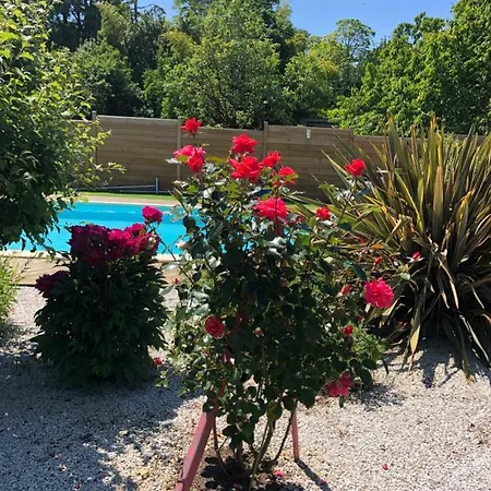 D Hotes Anani Cosson Alex Barbezieux-Saint-Hilaire