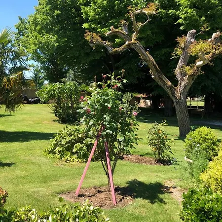 D Hotes Anani Cosson Alex